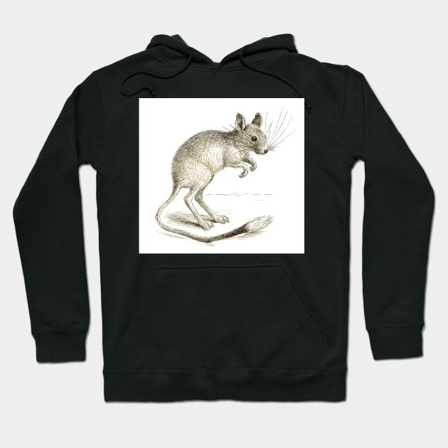 The Jerboa Hoodie by PictureNZ